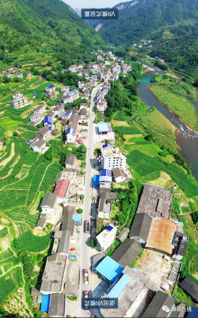 我在空中看家乡,第十六期:陈家河-桑植文博馆